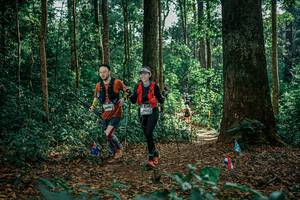 BIB: 
                            <button type="button" onclick="openModal(26133277)" class="btn btn-primary btn-sm float-right btn-popup" data-toggle="modal" data-target=".modal-high-quality">
                        <i class="fas fa-shopping-cart"></i> Add to Cart
                    </button>
                                            <button type="button" onclick="isThisMe(26133277, true)" class="btn btn-success btn-sm float-right btn-popup btn-isme hidden" data-toggle="tooltip" data-placement="bottom" title="นี่คือรูปของคุณใช่ไหม คลิกที่นี่เพื่อเอาเข้าอัลบั้ม">
                        <i class="fas fa-plus"></i> Add to album
                    </button>
                    <button type="button" onclick="isThisMe(26133277, false)" class="btn btn-warning btn-sm float-right btn-popup btn-isnotme hidden">
                        <i class="fas fa-ban"></i> Remove from album
                    </button>